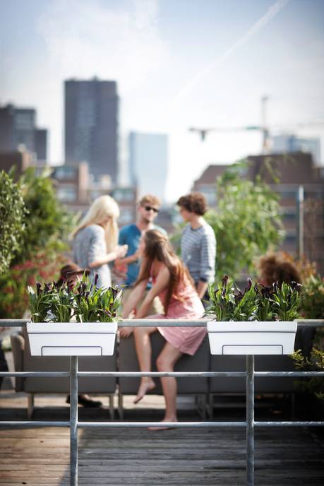 loft urban trough allin1 50cm white